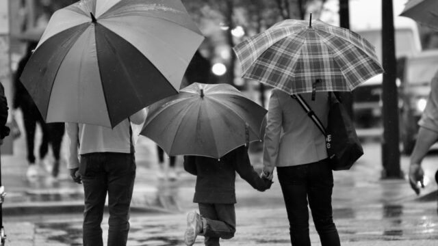 家族 親子 子供 雨 傘